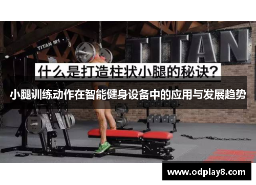 小腿训练动作在智能健身设备中的应用与发展趋势